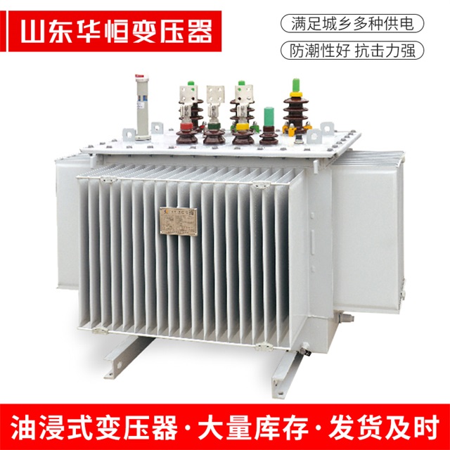S13-10000/35民和民和民和电力变压器